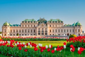 Lee más sobre el artículo Acordes de Primavera en Viena