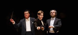 Lee más sobre el artículo Viena Excellence